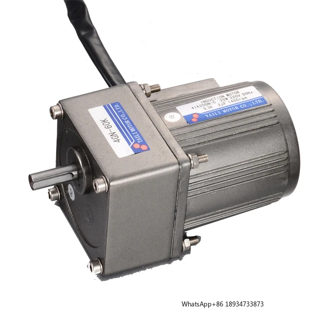 Taili 110v 220v 380v Micro AC Induction Motor 25w