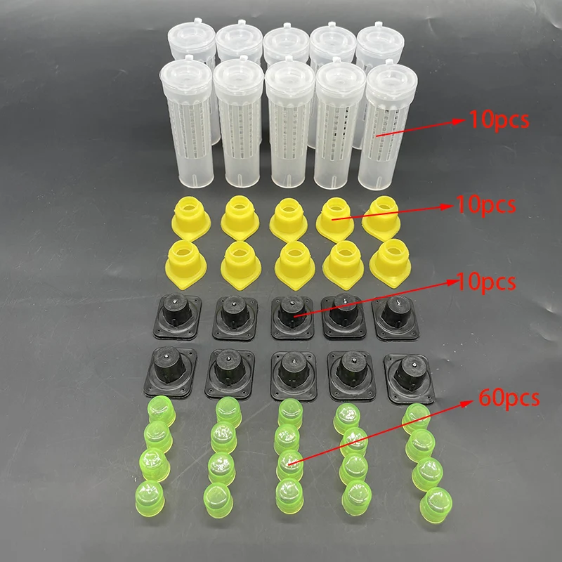 Kit Completo para Abelhas, Gaiolas, Rei e Rainha, Sistema de Rearing, Caixa Apanhadora, Copos Celulares, Gaiola, Nicot, 1 Conjunto