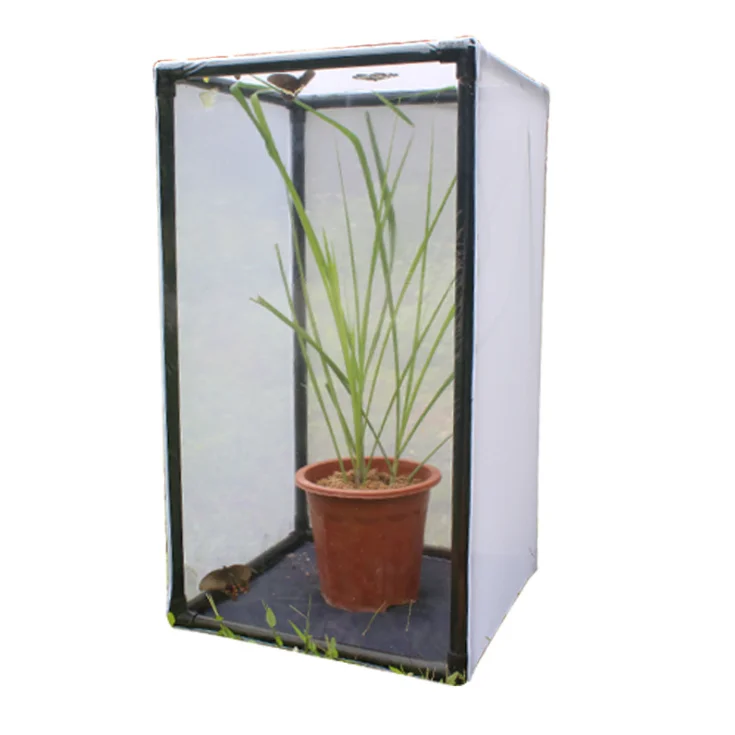 

42x42x77cm Professional Dragonfly Butterfly Flying Insect Mesh Cage Outdoor Observation Plant Small Animal Terrarium Fixed