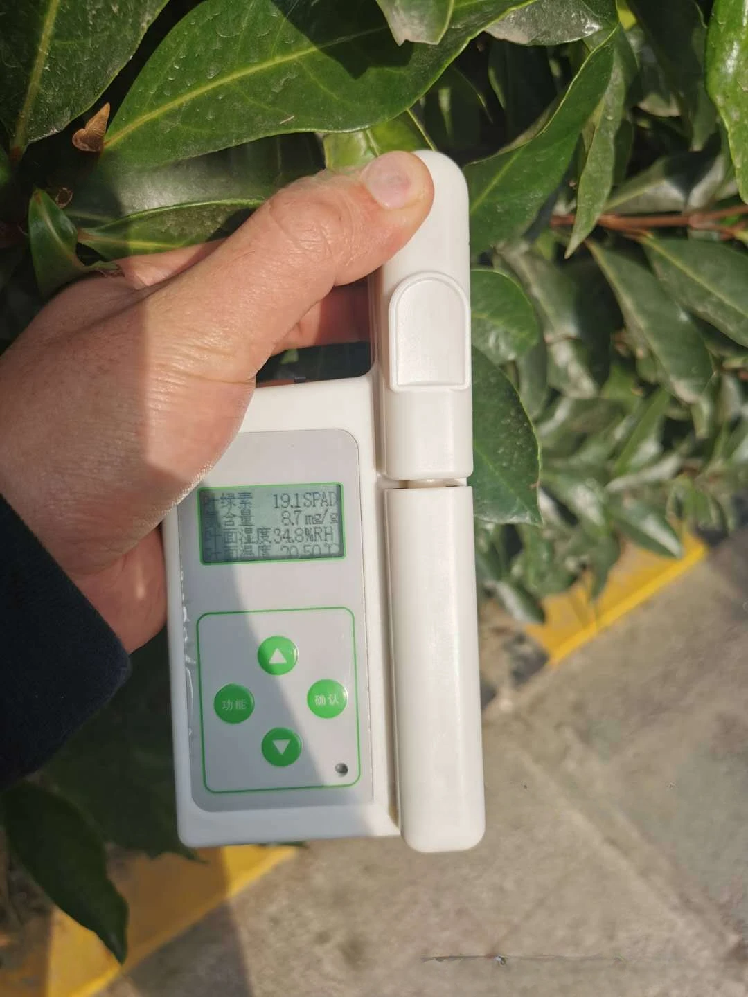 

AW-4N Plant Nutrition Tester Chlorophyll Tester