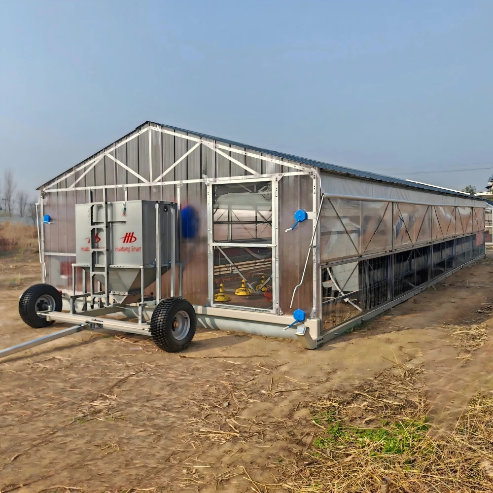 AIROW Mobile Chicken House 15x5m for Broiler Laying Chicken Rotational Grazing Automatic Feeder Line Water Line Equipment