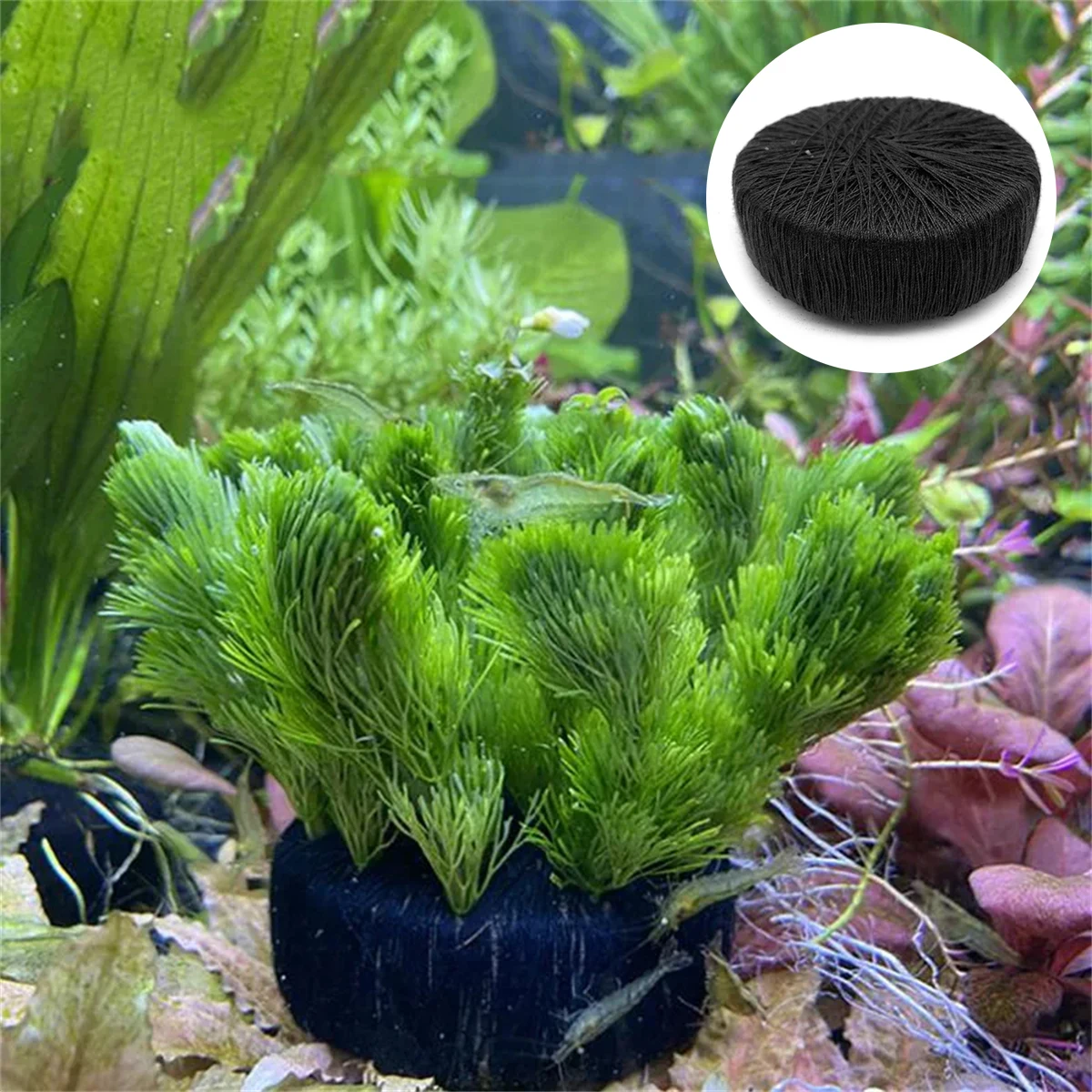3Pcs Black Fish Tank Water Grass Planting Cultivation Substrate Protecting Aquatic Plant Root Aquarium Decorative Ornament 5/7cm