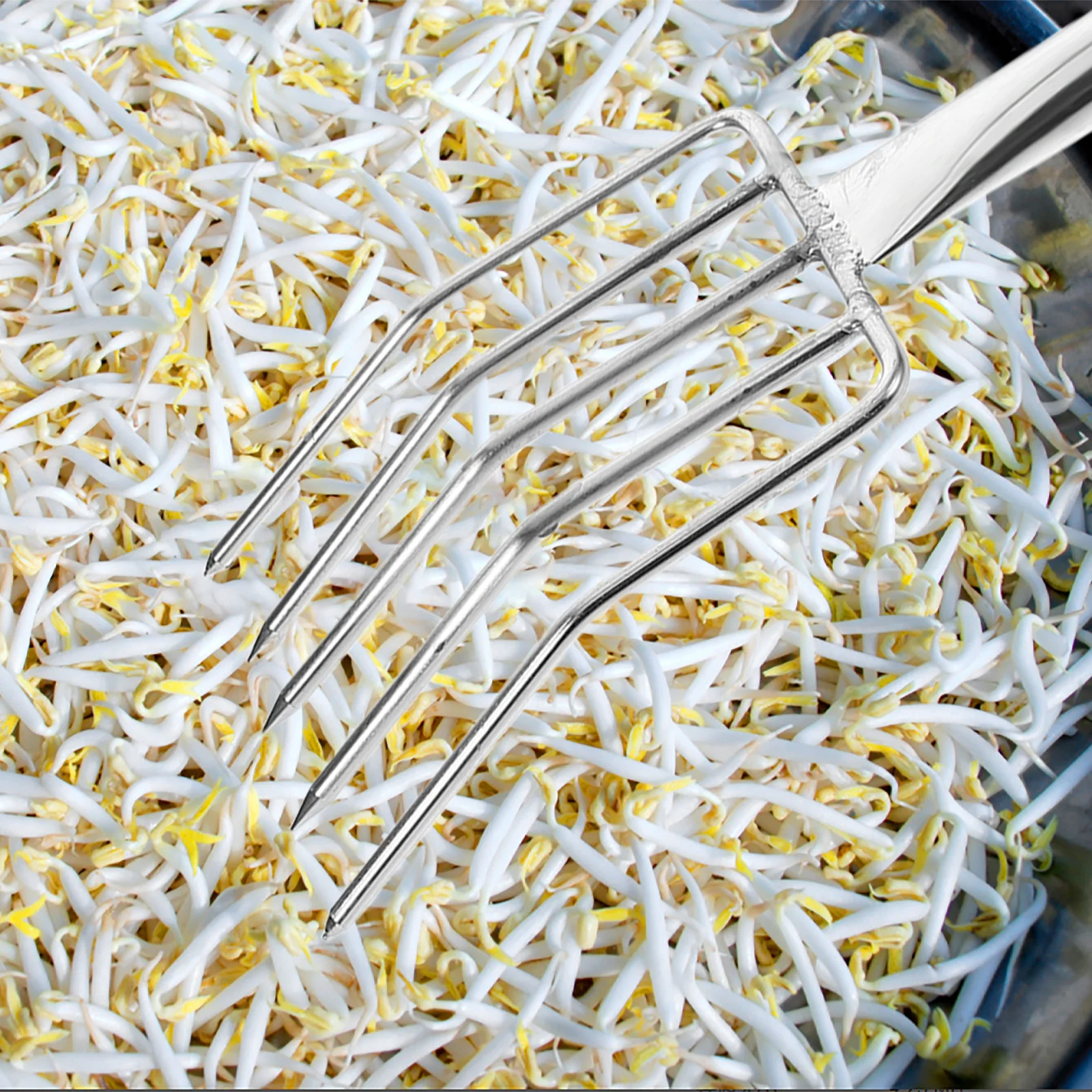 Fourchette à germes de haricots en acier inoxydable, outil de jardin multifonction Portable et Durable pour la transplantation de la pelle du sol