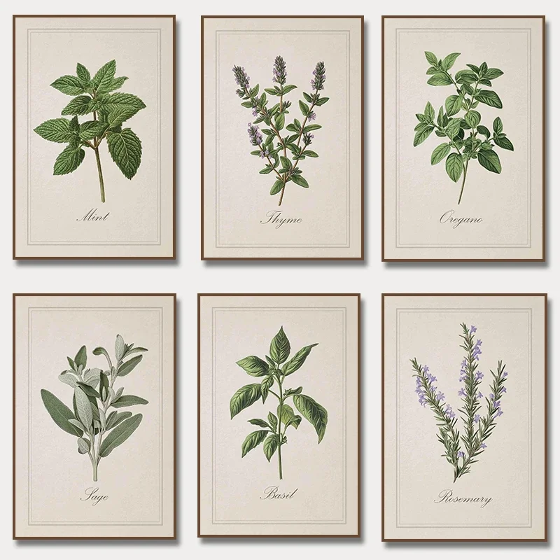 Vintage Herbal Illustrations Posters and Prints Culinary Herbs Botanical Canvas Painting  Kitchen Wall Art Picture Home Decor