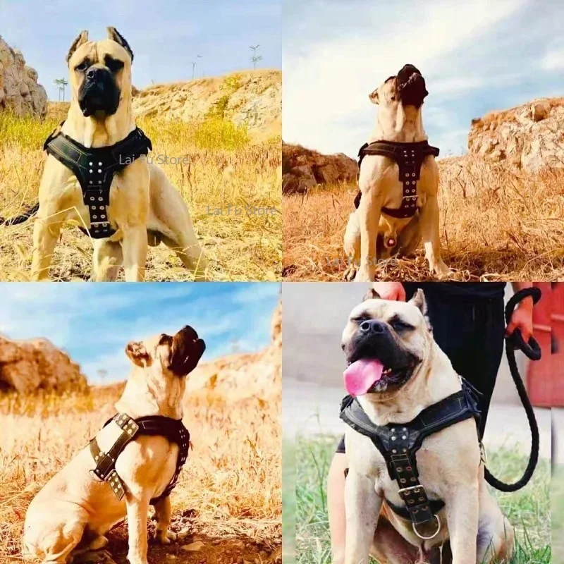 Durable Large Dog Harness Traction Rope Pit Bull Dog Muscle Training Carrying Strap Vest Adjustable Quick Control Pet Supplies