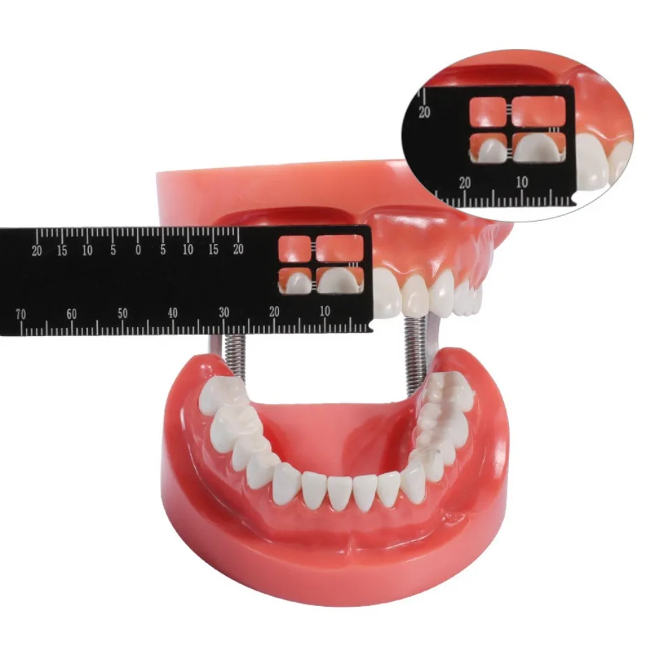 Dental Precision  Multi-Measuring Ruler Medical Tool Measure Scale Endodontic Instruments Dentistry