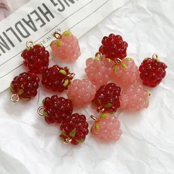 1 Stuk Hars 3d Fruit Bedels Mini Druif Hanger Voor Diy Oorbel Armband Ketting Ambachten Accessoires Maken Sieraden Bevindingen