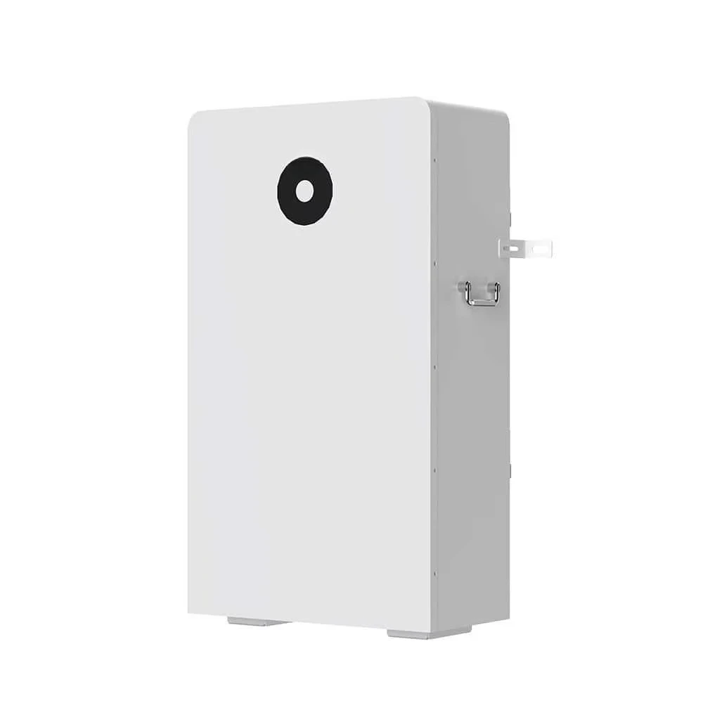 Energy Battery Price RW-F16 Low Voltage Wall Mounted Hot Selling Lithium Ion Battery 51.2v 314ah