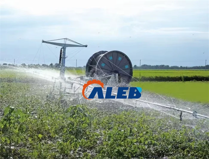 Hose Reel Irrigation System/Water-Saving And Convenient Medium-Sized Irrigation Hine