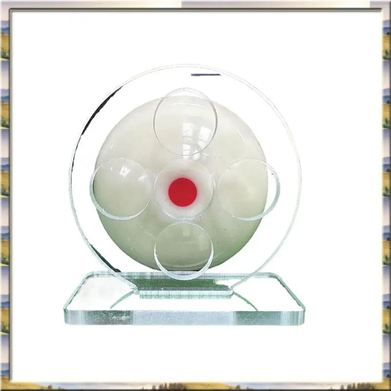 Ejercitador de técnica de palo de piscina portátil económico con diseño de 5 orificios para una precisión mejorada