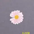 PE6306CT