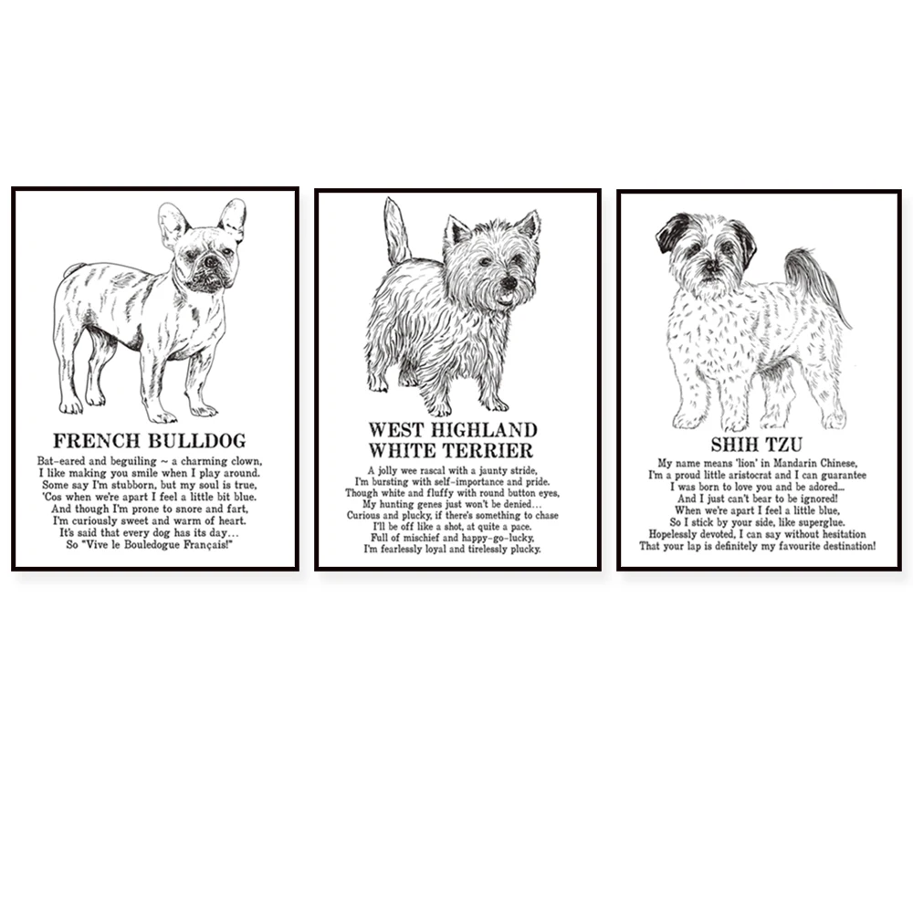Curly-Coated Retriever, Norfolk Terrier, Saint Bernard, Bernese Mountain Dog, Shih Tzu, Springer Spaniel Animal Poetry Poster