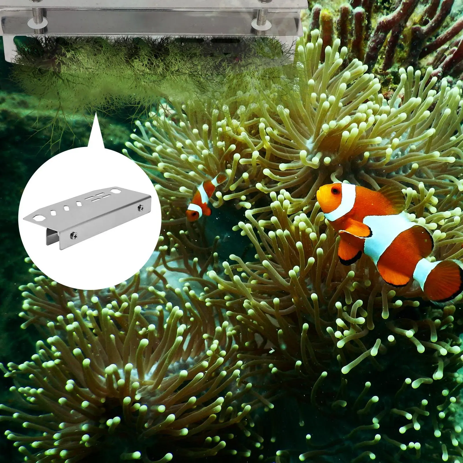 Aquarium Fish Accessories - 1Pcs Fish Tank Tool Rack Aquarium