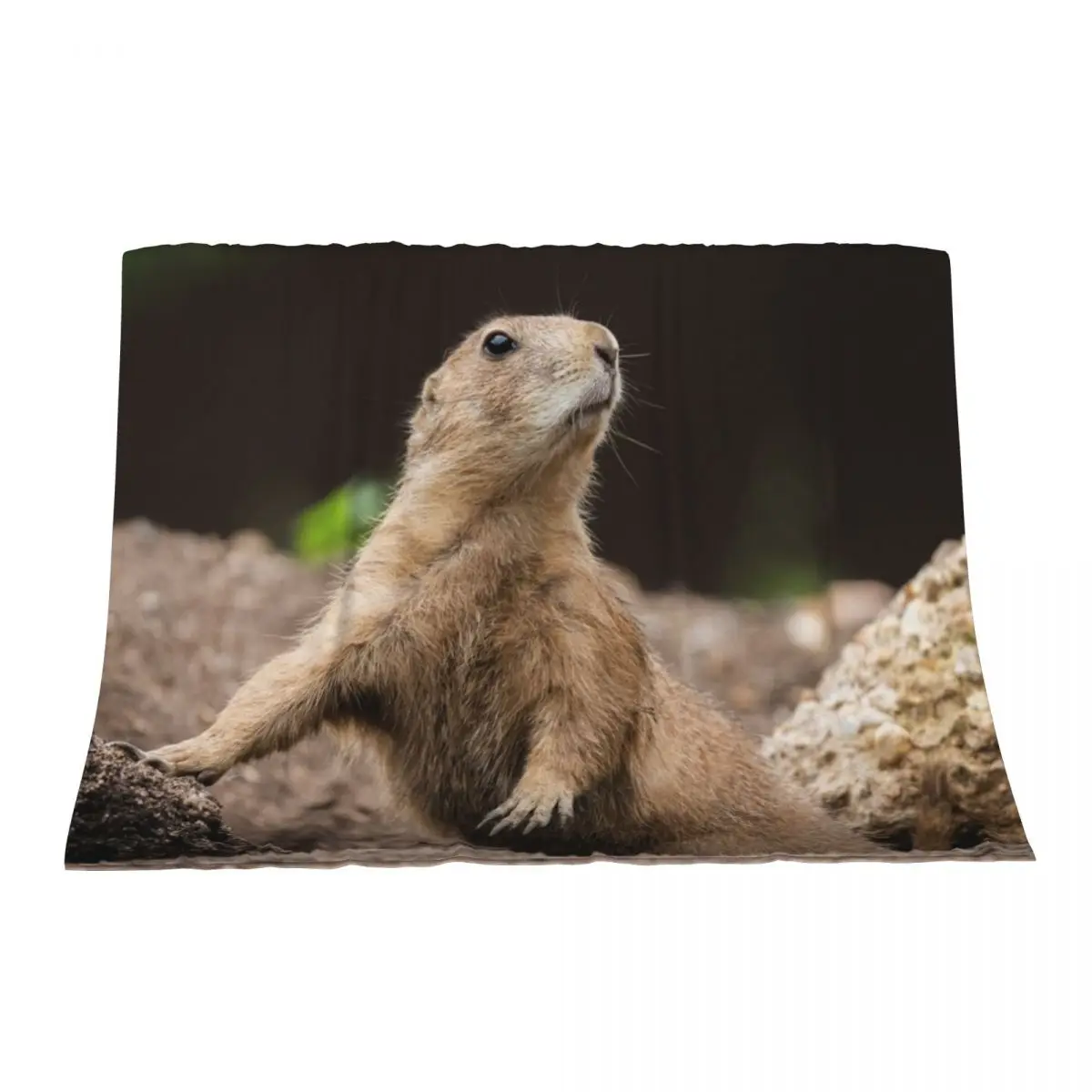 

Black Tailed Prairie Dog Throw Blanket Kid'S bed plaid Nap Blankets