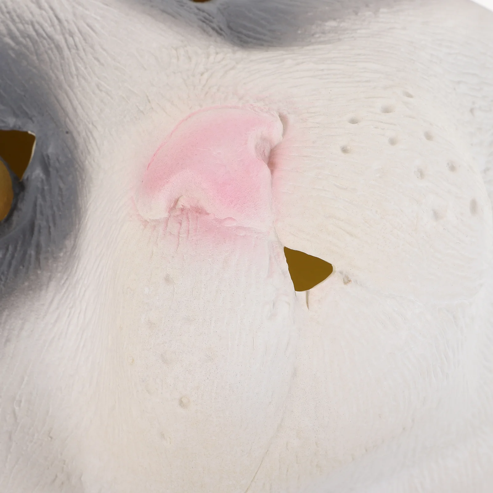 Halloween Kat Hoofd Masker Volwassen Volledige Realistische Latex Dierenmasker Eng Grappig Cosplay Kostuum Feestaccessoires Kat Kostuum