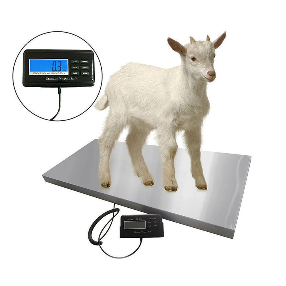 Custom 500kg 0.1kg Pet Scales Digital Shipping Postal Scale With Lcd Display Indicator
