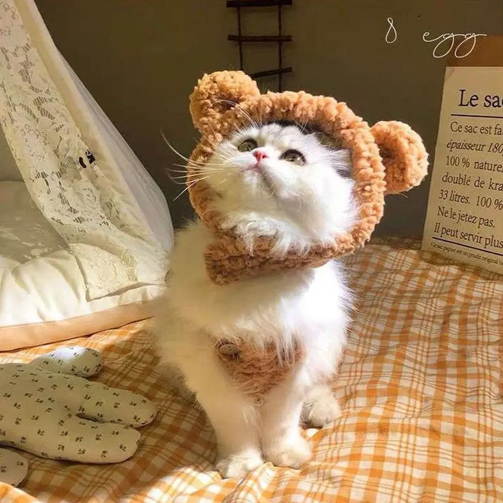 Cute Pet Accessories Comfortable Cat Hat Headgear Short Plush Bear Puppy Cap