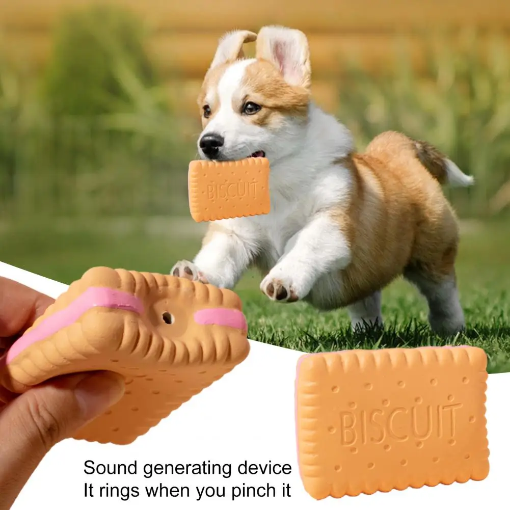 Dog Chew Toy Built-in Squeaker Simulation Biscuit Cake Bite-Resistant Latex Toy Exercise Training Interactive Soft Squeak Toy Sm