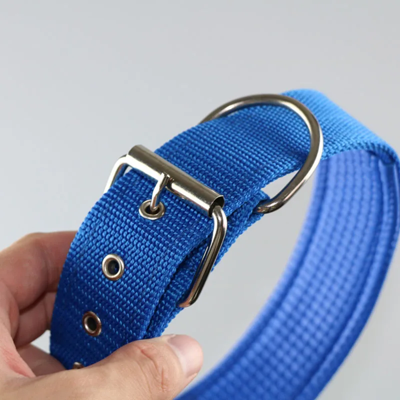 الياقات الصلبة طوق الكلب النايلون للكلاب الصغيرة والمتوسطة والكبيرة تيدي كيجي بيتبول بولدوج بيغل