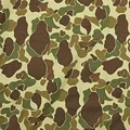 Duck Hunter
