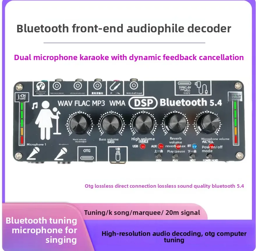 Fever Bluetooth Front Panel Microphone Karaoke Reverb Tuning Lossless U Disk Dual Output Stereo Jump Marquee