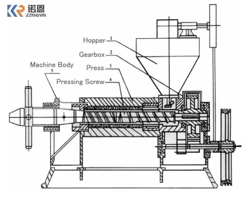 Macchina per l'olio di palma Copra Mustard per realizzare olio da cucina Macchina per l'estrazione dell'olio vegetale Macchina per l'estrazione dell'olio di cocco