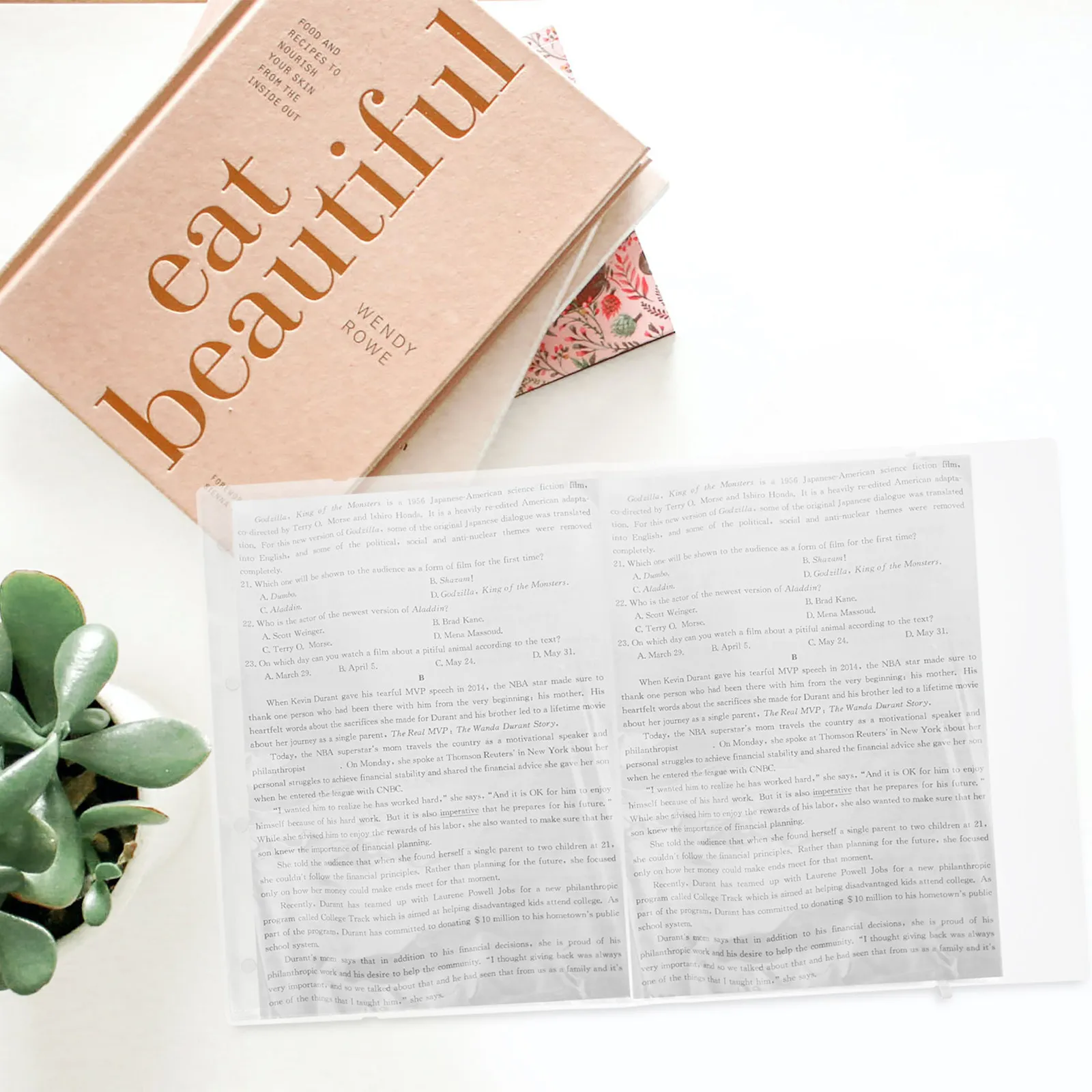 

Professional Document Folder for Test Paper Filing Music Score Protection Clear Plastic Sleeve Binder Portfolio