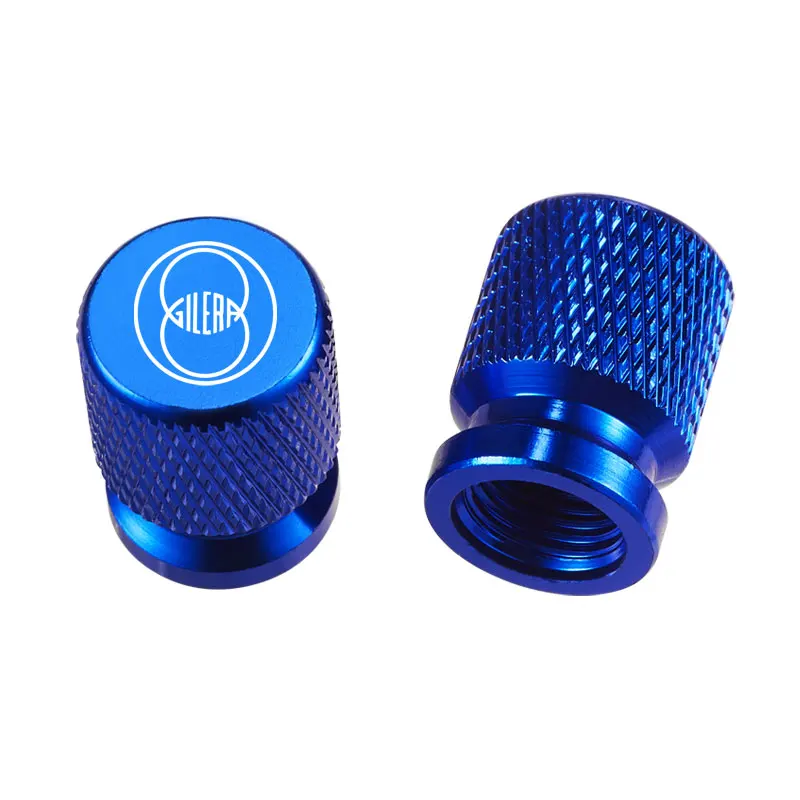 For Gilera GP800 Fuoco Nexus 500 Runner 50 125 200 Valve valve motorcycle universal model personalized modification