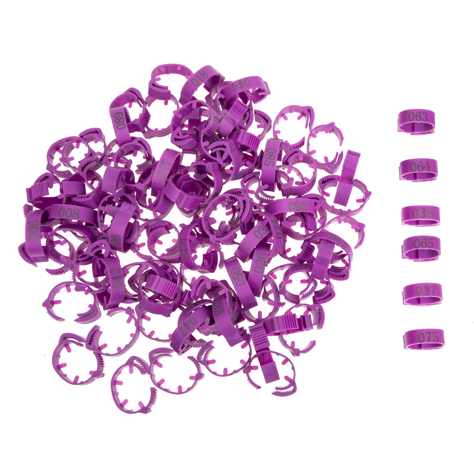 100 قطعة أربطة ساق الدجاج مرقمة السلس خفيفة الوزن تحديد الدواجن خواتم للدجاج الحمام البط أوزة الحيوانات الأليفة بمناسبة #3