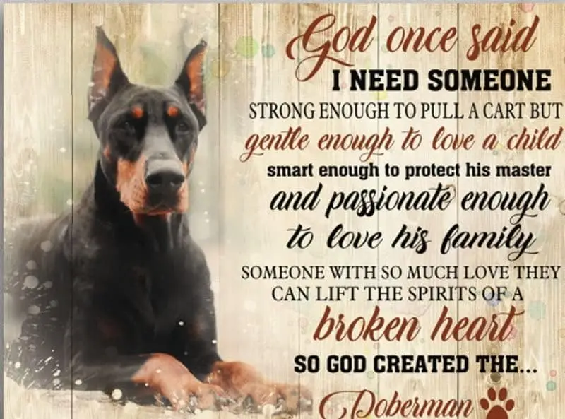 Vintage Metal Signs I Need Someone So God Created The Doberman Retro Poster Funny Novelty Tin Sign Wall Art Decor for Home  sign