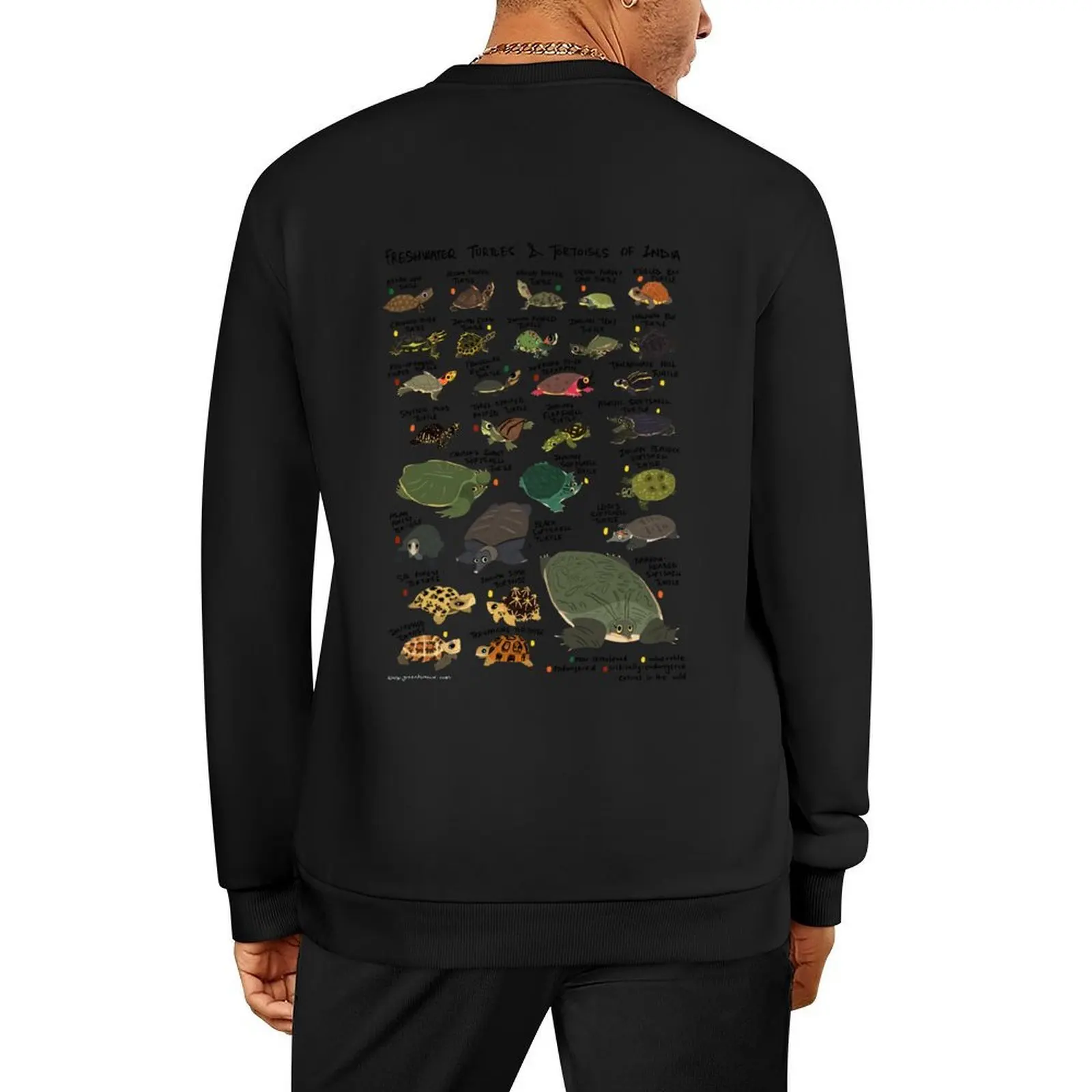 

Freshwater Turtles and Tortoises of India Pullover korean autumn clothes men's sweat-shirt men's clothes oversize sweatshirt