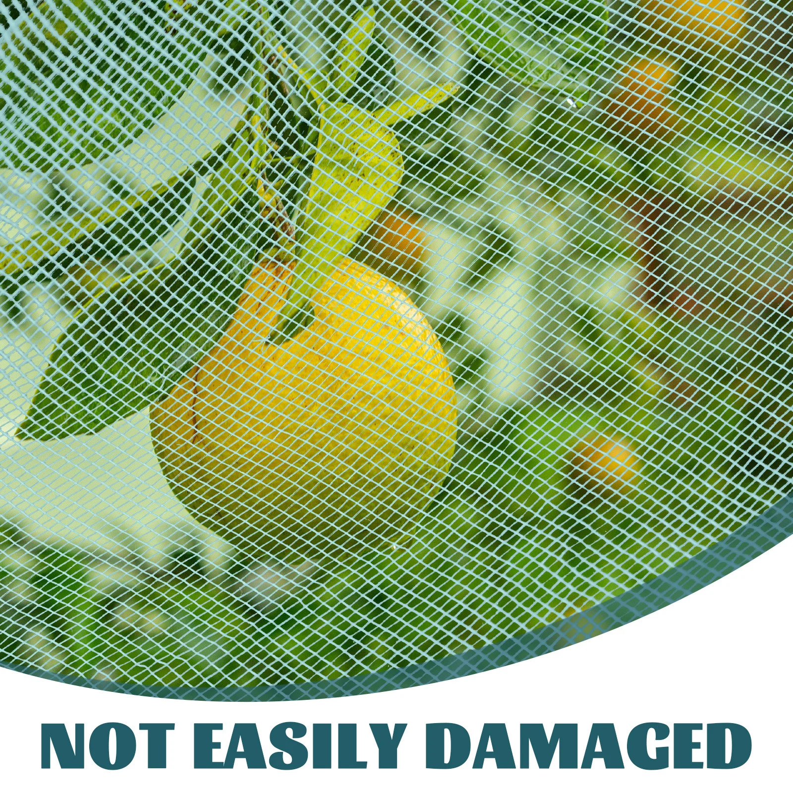 شبكة حديقة شبكية خضراء فائقة الدقة لحماية النباتات، غطاء حاجز حشرة غزال قابل لإعادة الاستخدام، شجيرات نفق صف السرير #2