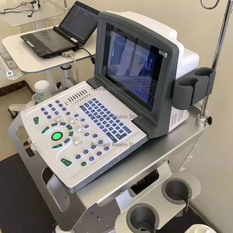 

Портативный 12-дюймовый полностью цифровой сканер с зондом черно-белого цвета