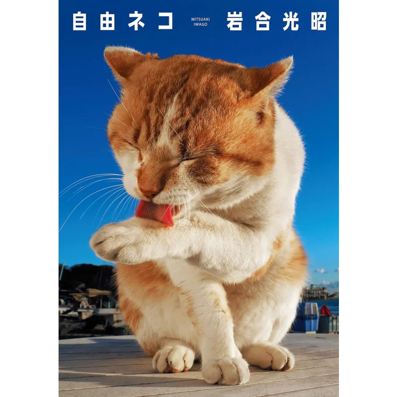 

Free Cat Mitsuaki Iwai Published By Chen Si 9784777822805 Book