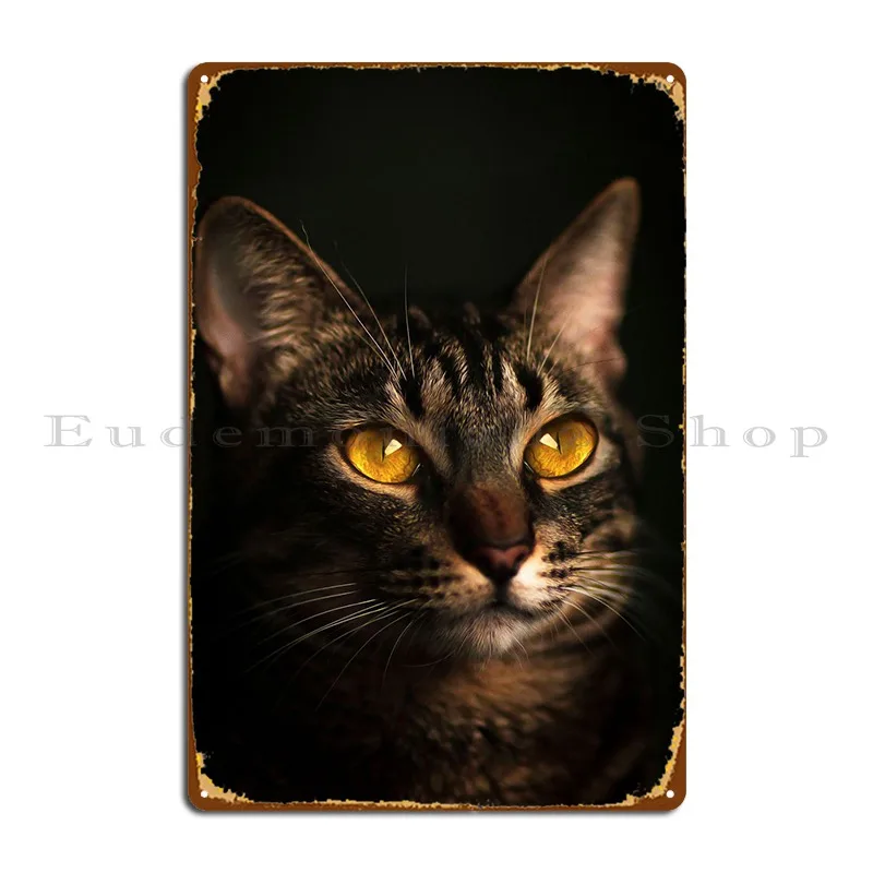 Feline Face Metal Plaque Kitchen Bar Cave Designing Print Cinema Tin Sign Poster