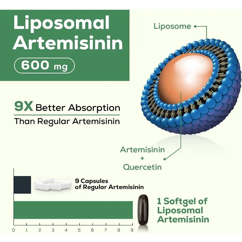 Liposomal Artemisinin, Sweet Worm Extract Containing Quercetin Plant Body, 60 Capsules