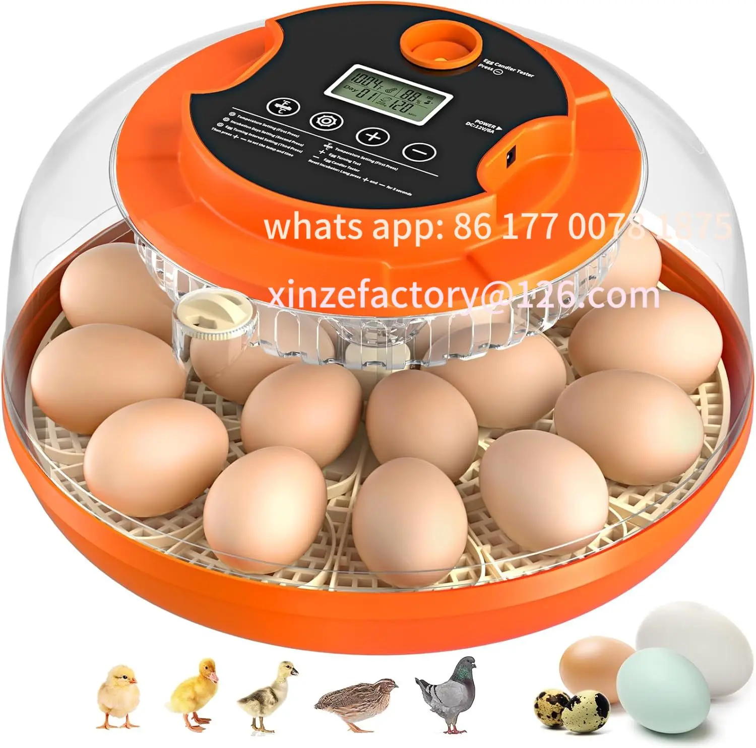 Customizable Incubator with Automatic Egg Turning and Humidity Control, Incubators for Hatching Eggs, Chicken, Ducks, Goose