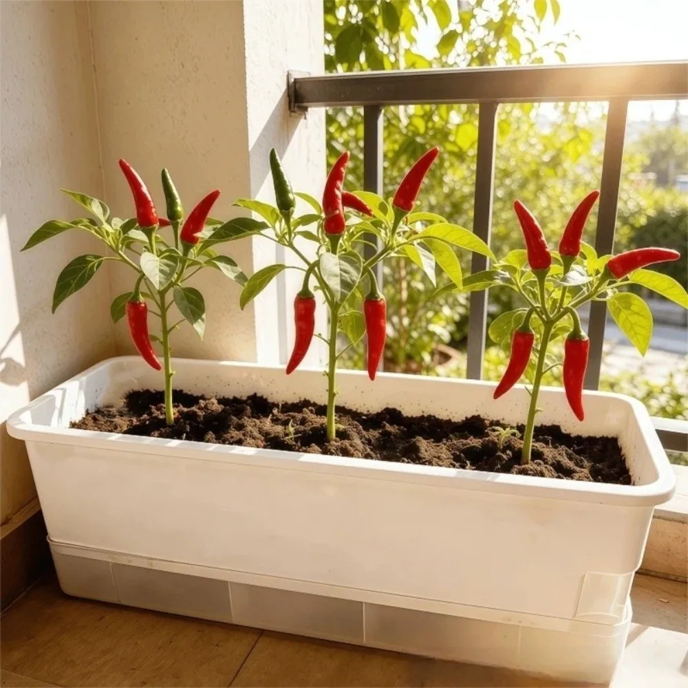 Plastic Hydroponic Plant Pots Thicken Cultivation Box Plant Nursery Pot Self Watering Planting Container Germination Tray