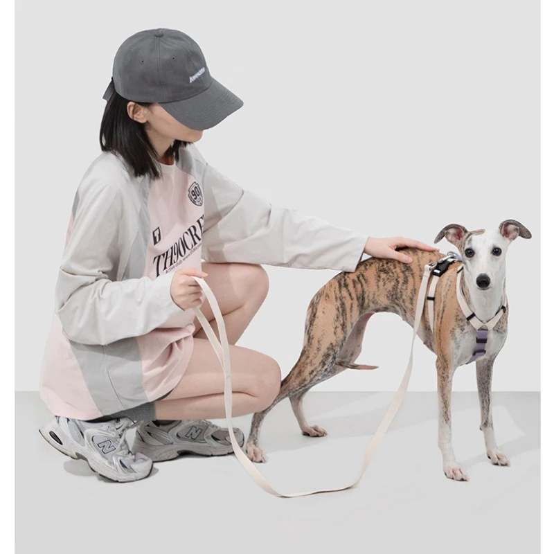 Dog Harness and Leash Set H Shape Light Anti Escape Adjustable Reflective No Pull Puppy Small Medium Large Dogs Walking Outdoor