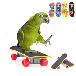 Bird Toy Canary Skateboard Parrot Training Skateboard Bird Supplies Skates Lovebird Canaries Perch for Parrots For Birds Toy Acc