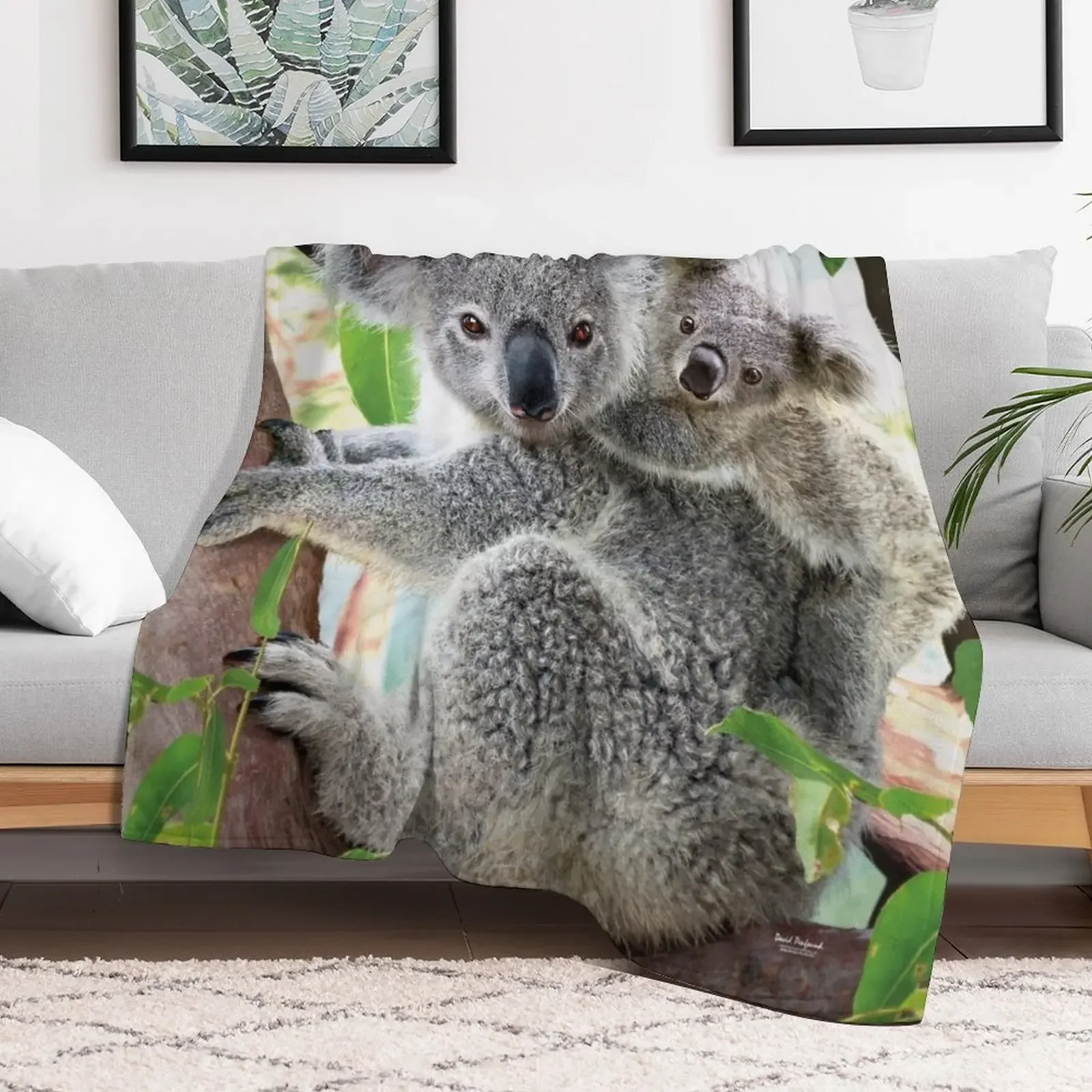 Koala Cuddles Throw Blanket Multi Purpose Soft Warm Blanket for Home Travel
