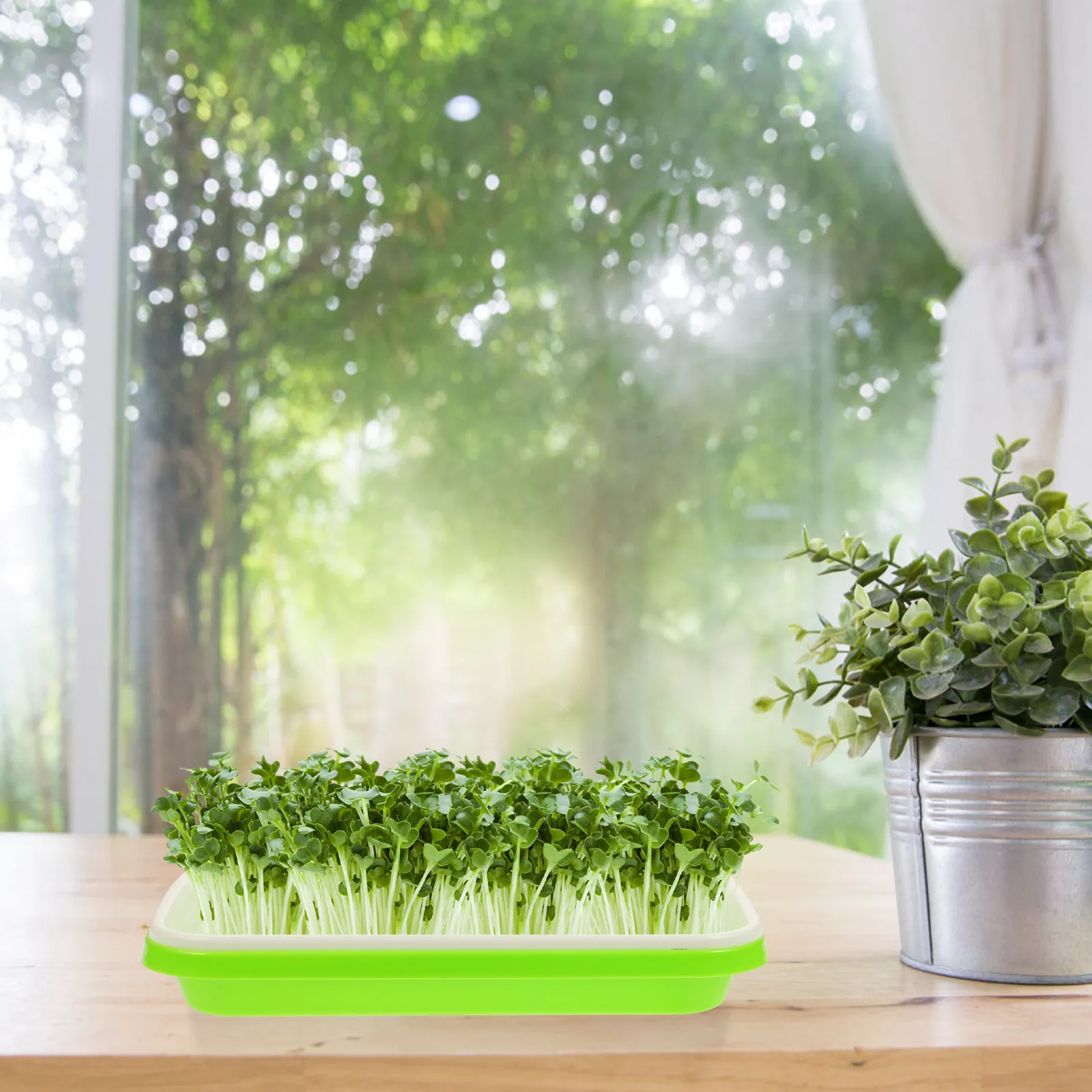 3Pcs Nursery Tray Premium Plastic Hydroponic Germination Growth Germinating Basin Sprout Vegetable Planter Soiless Tray