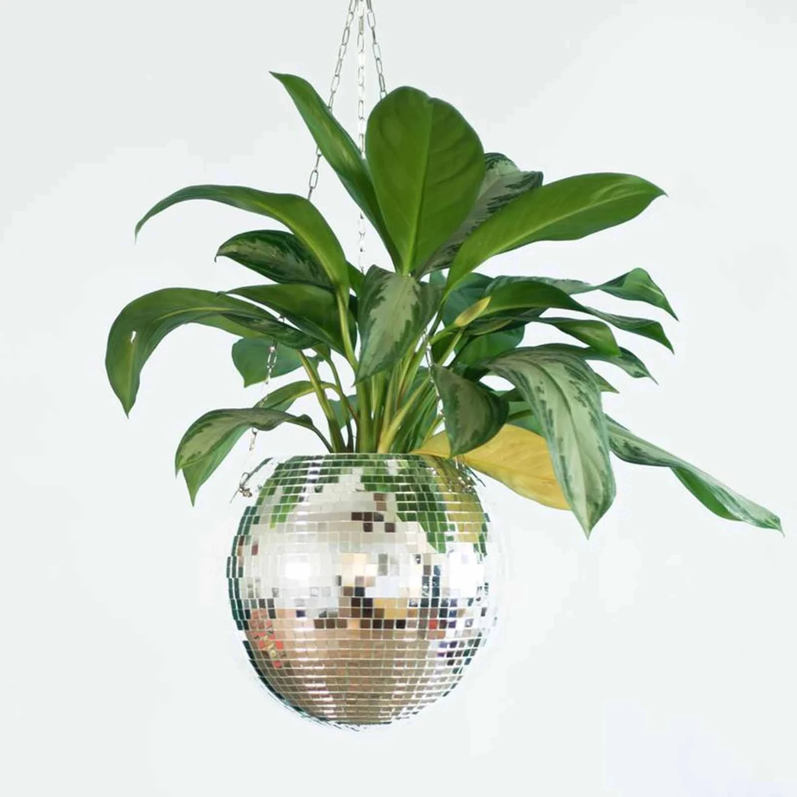 1PC Disco Ball Planter Globe Shape Hanging Vase Flower Pots Rope Wall Homw Decor Container room decoration