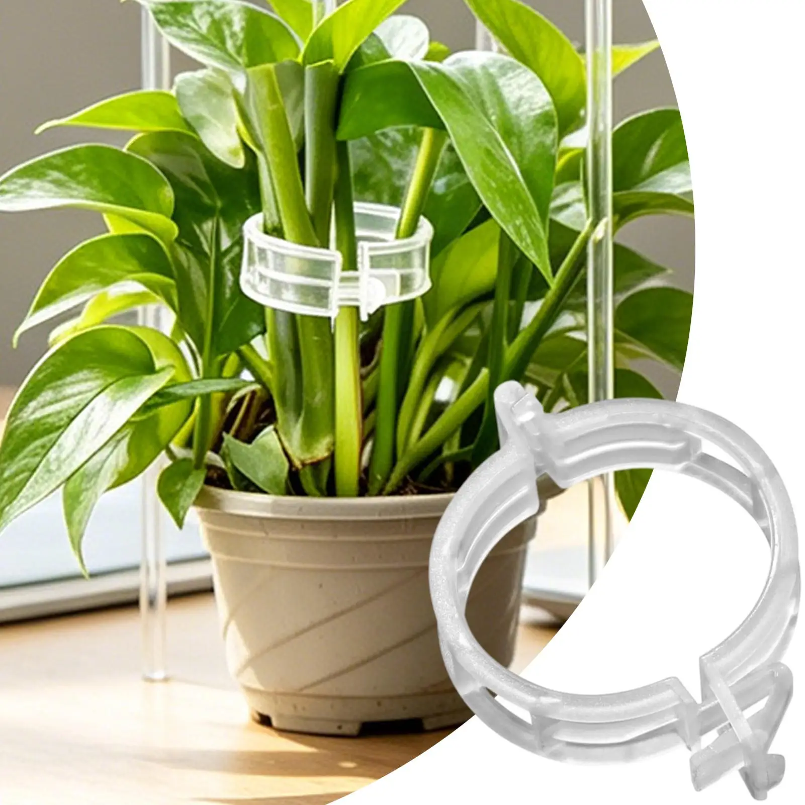 100pcs Tomato Clips Wide Opening Reinforced Reusable Trellis Clips For Cucumbers Grapes Peppers Melons Peas Climbing Roses
