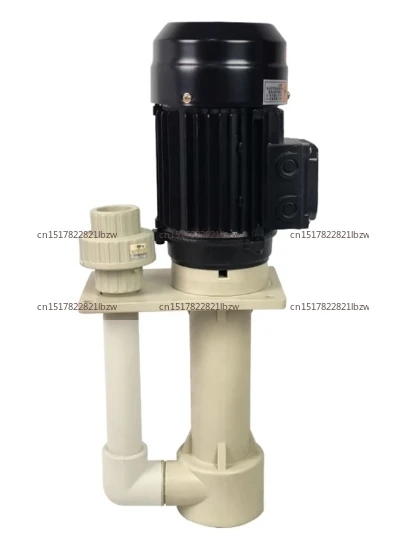 Plastic Chemical Pump Vertical Acid and Alkali Resistant Submerged Pump Vertical Pump in Anti-corrosion Tank 220V 380V