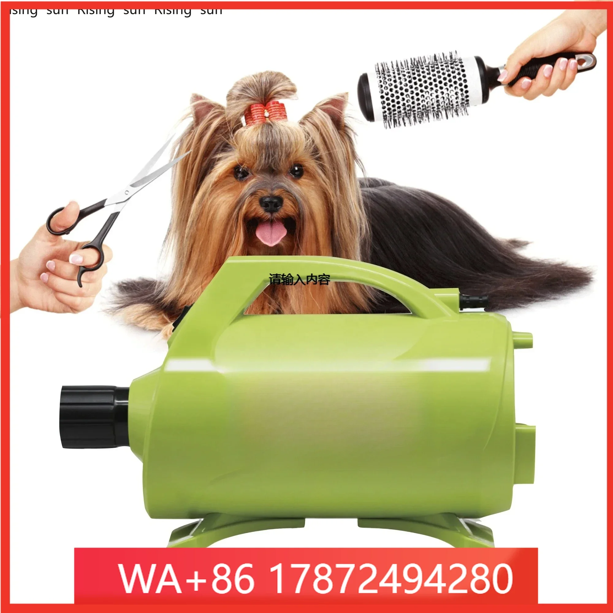 2025 Pets proofing wholesale eterinary Grooming Low Noise Por pet huge dog hair dryer