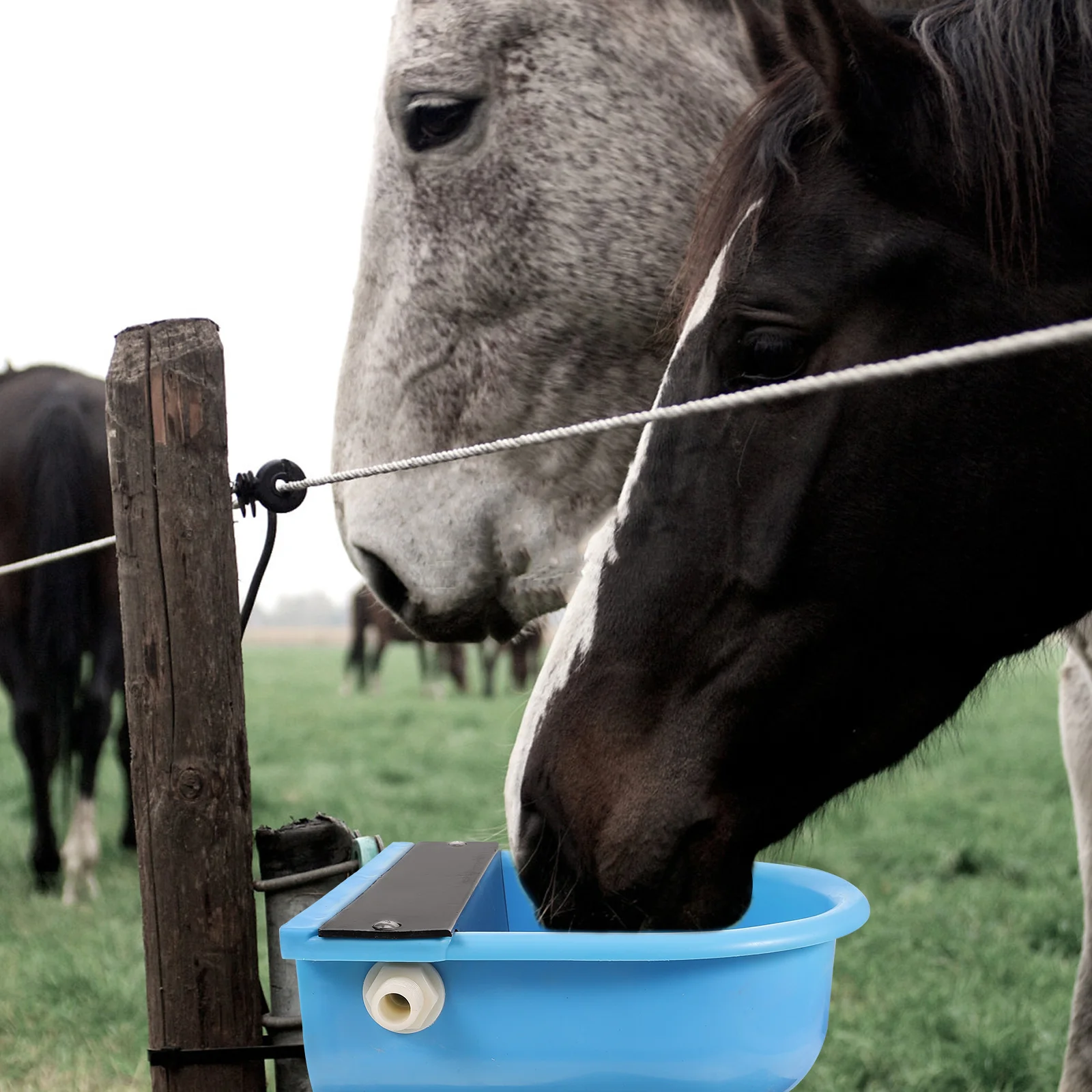 

Cow Water Drinker Plastic Automatic Cattle Waterer Drinking Bowl Farm Livestock Sheep Pig Floating Level Large Capacity Feeder