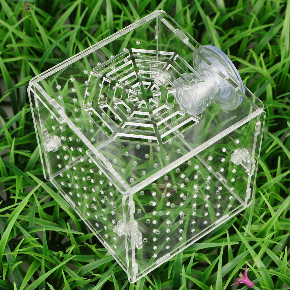 

Starter Fish Fry Breeding Box Hatching Isolation Tank Transparent Acrylic Cover For Small Pregnant Newborn Fishes Shrimp