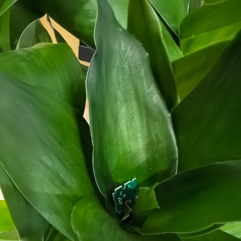 chip-de-caixa-de-manutencao-t366-t3661-c13t3661000-para-impressoras-epson-xp-15000-xp-15080-xp-15010-xp-8500-xp-8600-xp-8505-tanque-de-tinta-residual