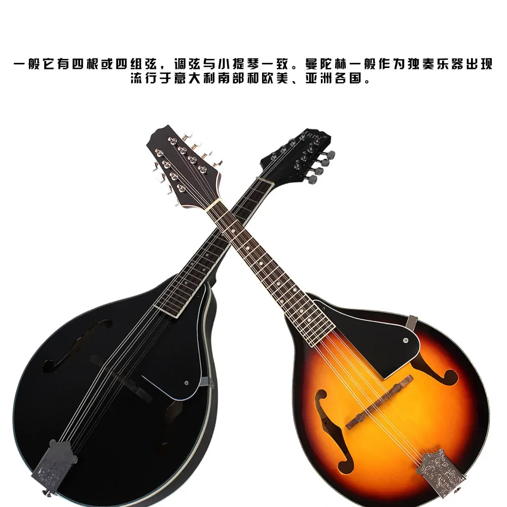 

Electroacoustic Mandolin National Instrument Mandolin Western Instrument